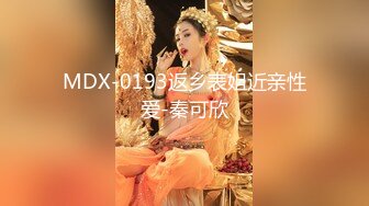 MDX-0193返乡表姐近亲性爱-秦可欣