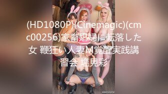 (HD1080P)(Cinemagic)(cmc00256)家畜娼婦に転落した女 鞭狂い人妻M覚醒実践講習会 塩見彩