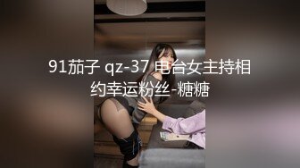 91茄子 qz-37 电台女主持相约幸运粉丝-糖糖