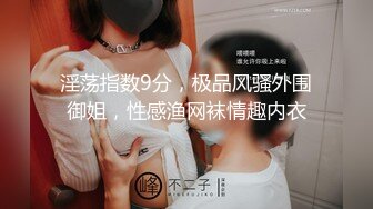 淫荡指数9分，极品风骚外围御姐，性感渔网袜情趣内衣