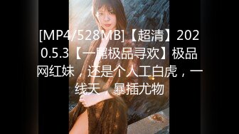 [MP4/528MB]【超清】2020.5.3【一屌极品寻欢】极品网红妹，还是个人工白虎，一线天，暴插尤物