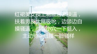 红裙美女换上制服居家操逼，扶着男友大屌吸吮，边舔边自摸骚逼，怼着小穴一下挺入，主动骑乘扭腰一脸骚样