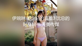 伊琬琳.美少妇的哀羞3.沈总的贴身秘书.天美传媒