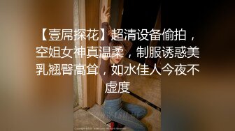 【壹屌探花】超清设备偷拍，空姐女神真温柔，制服诱惑美乳翘臀高耸，如水佳人今夜不虚度