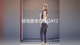 ❤️√嫂子和小叔子在酒店偷晴啪啪 女主韵味十足很不错~哪都好就是逼毛太多了 吃鸡深喉无套内设