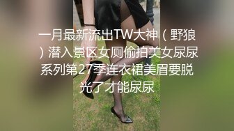 一月最新流出TW大神（野狼）潜入景区女厕偷拍美女尿尿系列第27季连衣裙美眉要脱光了才能尿尿