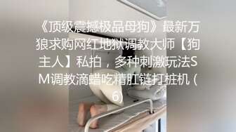 《顶级震撼极品母狗》最新万狼求购网红地狱调教大师【狗主人】私拍，多种刺激玩法SM调教滴蜡吃精肛链打桩机 (6)