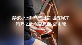 禁欲小屋EP3节目篇 被皮绳束缚鸡之到兴奋充血-潘雨曦