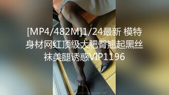 [MP4/482M]1/24最新 模特身材网红顶级大肥臀翘起黑丝袜美腿诱惑VIP1196