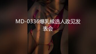 MD-0336爆乳候选人政见发表会