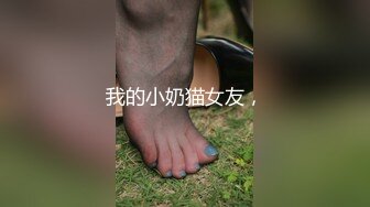 我的小奶猫女友，