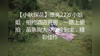 【小秋探花】漂亮22岁小姐姐，相约酒店开房，一路上偷拍，苗条胸大今晚捡到宝，精彩佳作