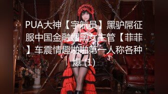 PUA大神【宇航员】黑驴屌征服中国金融媚黑女主管【菲菲】车震情趣啪啪第一人称各种爆 (1)